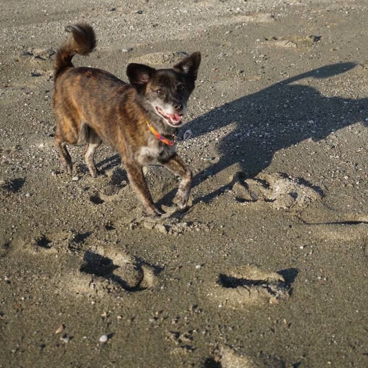 D9d7fbcd 256f 4681 9270 6a348a3fc2dd 1601468154240