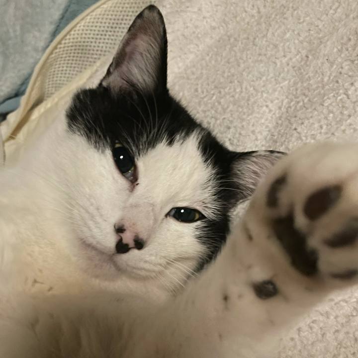 D9d813ca d393 4237 8f90 2ee28979be7f 1643473411873