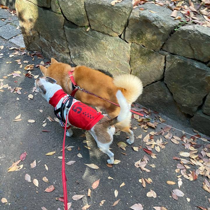 D9d866ad 8de1 452c 899d 0f01875e6a81 1605420997050