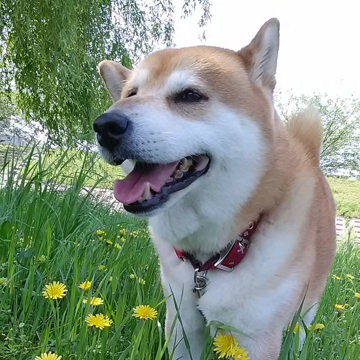 D9d86e54 f5ba 49f9 88b7 822758c711b8 1651203540908