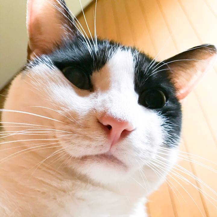 D9d8788b 7521 431f 996f 498515f92cf1 1534811594664