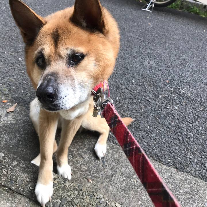 D9d88a4e dcde 4187 b690 0ae6ee334a42 1522795320945