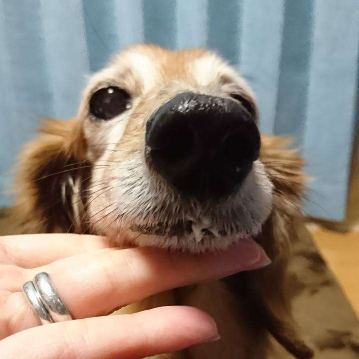 D9d88adf 0ea2 4763 bc4a be0491f4fd34 1516854124827