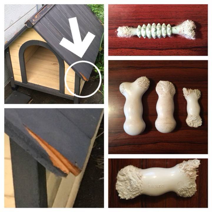 D9d88f8a 9b4c 48c0 ad5c 6df9032f2668 1537777665470