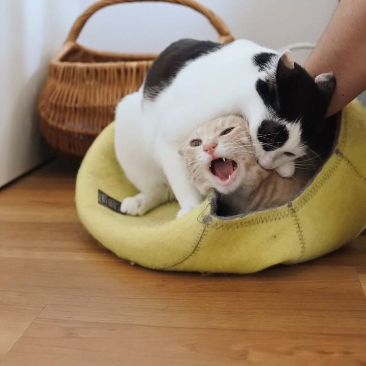 D9d8a9f4 c8cc 4c4d 9f4b cb543c2f0ac4 1559019460137