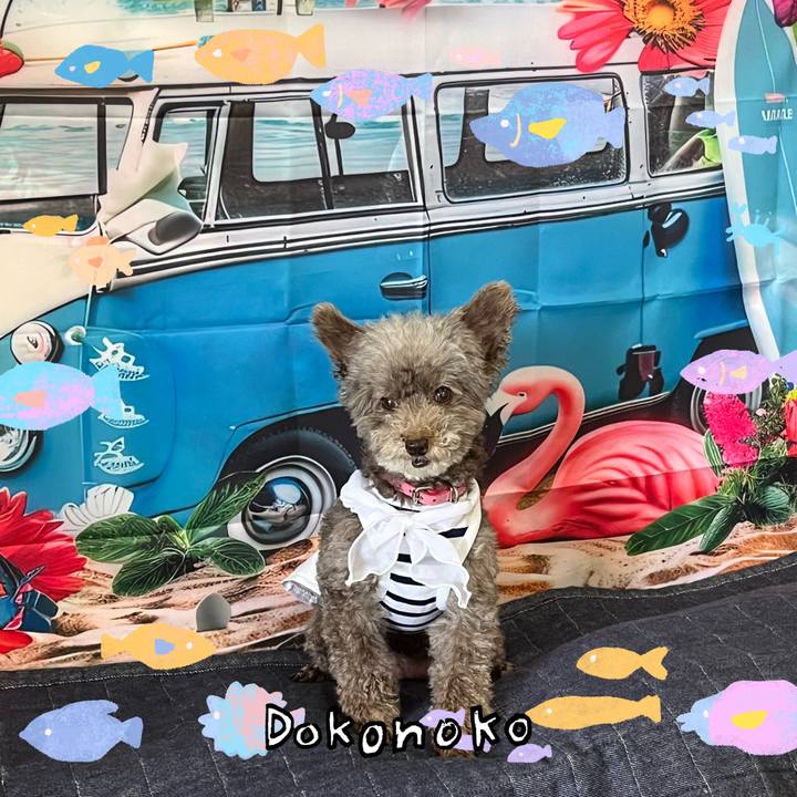 D9d8bcf3 194b 405a 8aad 8ea605795f98 1755557946715