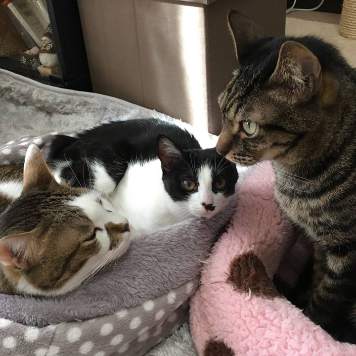 D9d8fd32 cdc3 4d18 8667 5cd91a1b9886 1580185842975