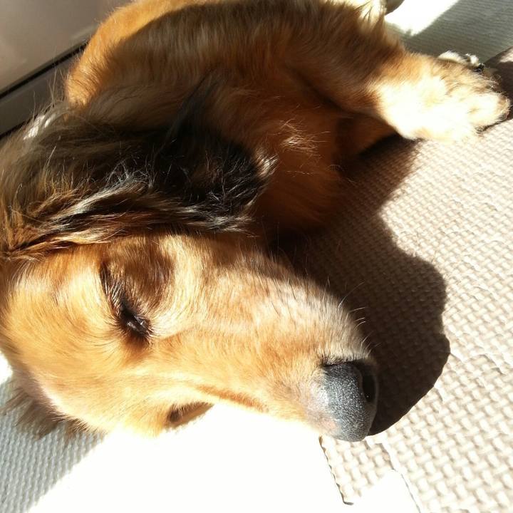 D9d905e5 d4c7 481a b2ee 5cd1520e1a89 1516967564773