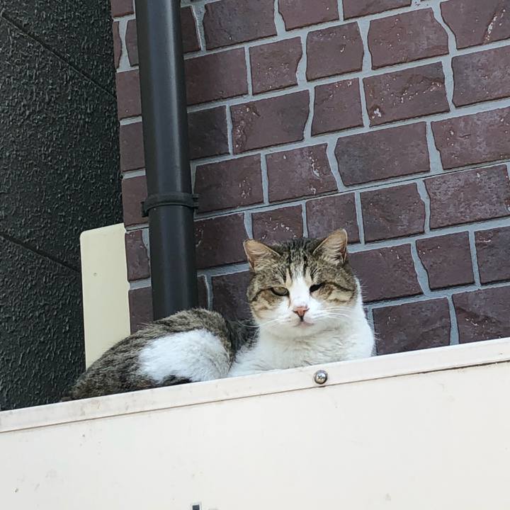 D9d908ac 59e1 4689 a959 f063e80eff7b 1551087816250