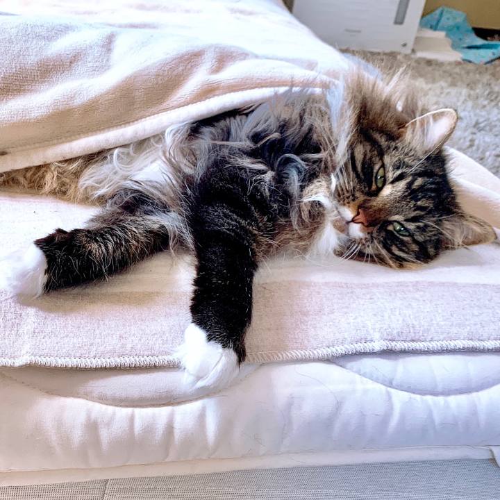 D9d93820 ba1b 4734 b2c1 e7b039adf558 1554376744516