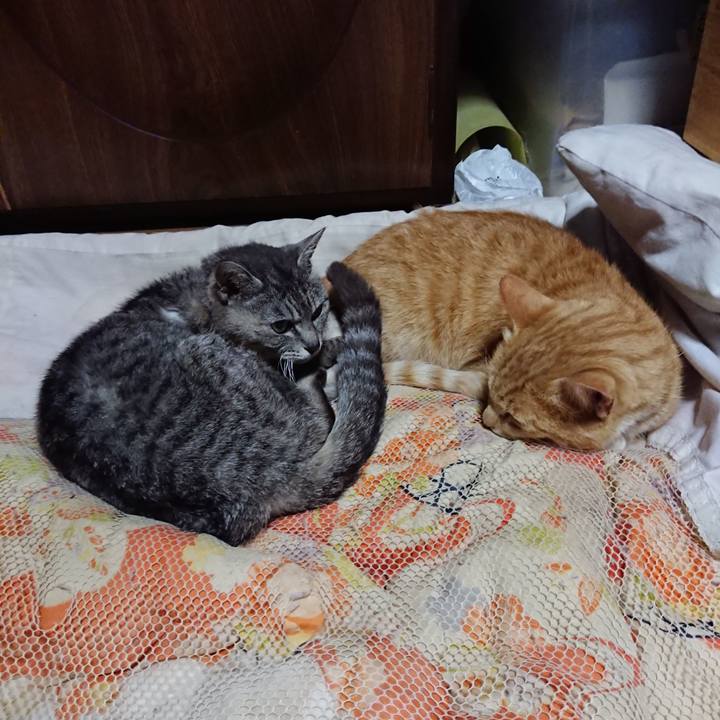 D9d94892 34a1 485a 87c0 1d3a6228dcfe 1591536391425