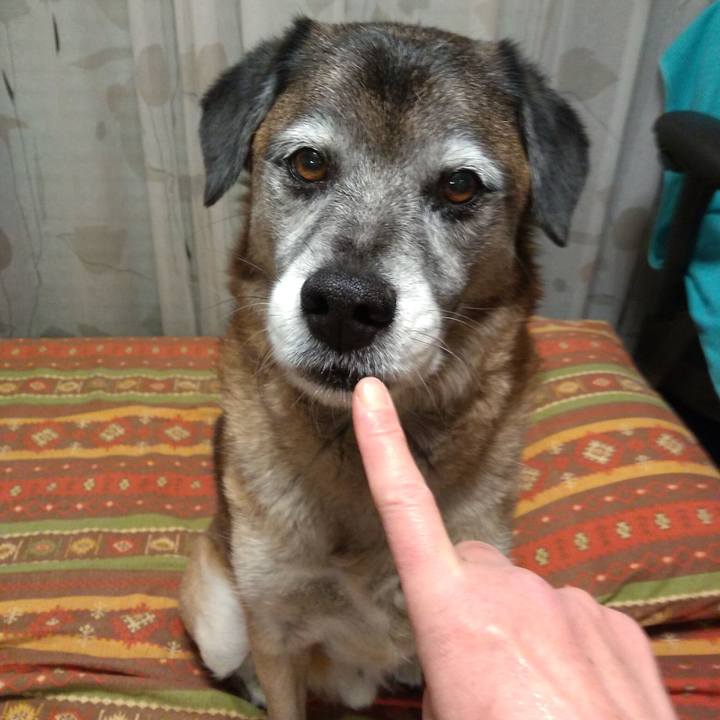 D9d99c55 be51 414a a8d0 d300ff49a3fe 1549238903618