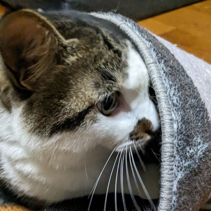 D9d9f0c3 3e73 48df 981d a7b2d33674bc 1686960529096