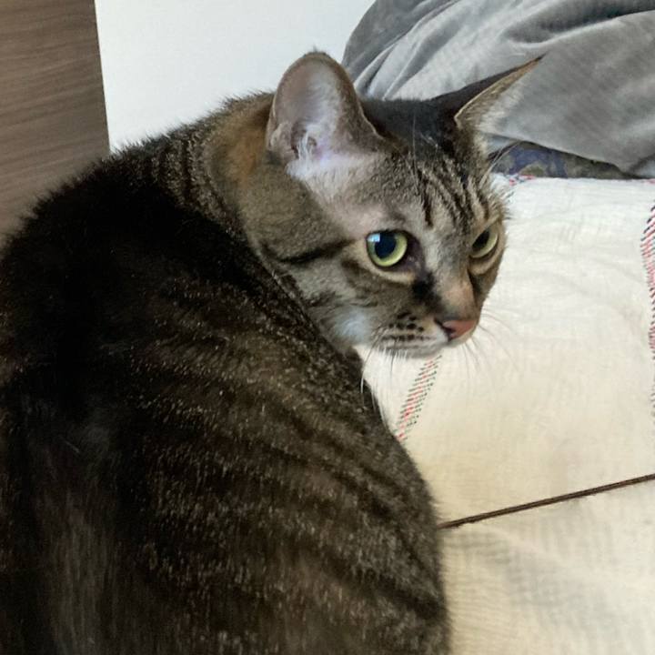 D9da0e90 c3cf 434d 943a 8e205ba2369d 1734832133336