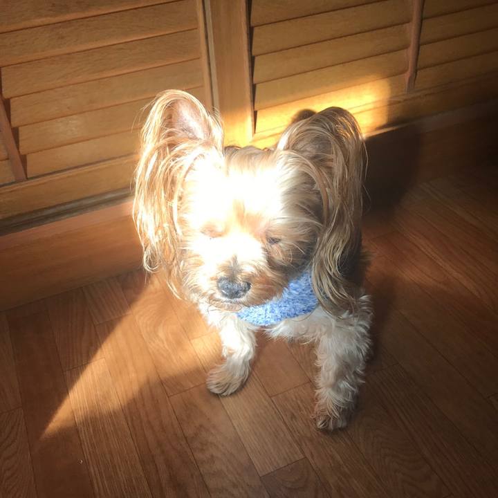 D9da36f8 6372 4feb 9a97 ca5b0e061ae5 1549855162903