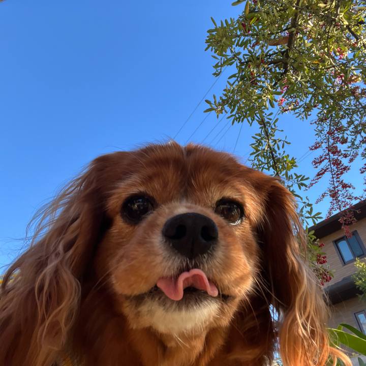 D9da50df 4879 4db3 9a78 f11d39386d25 1701476573955