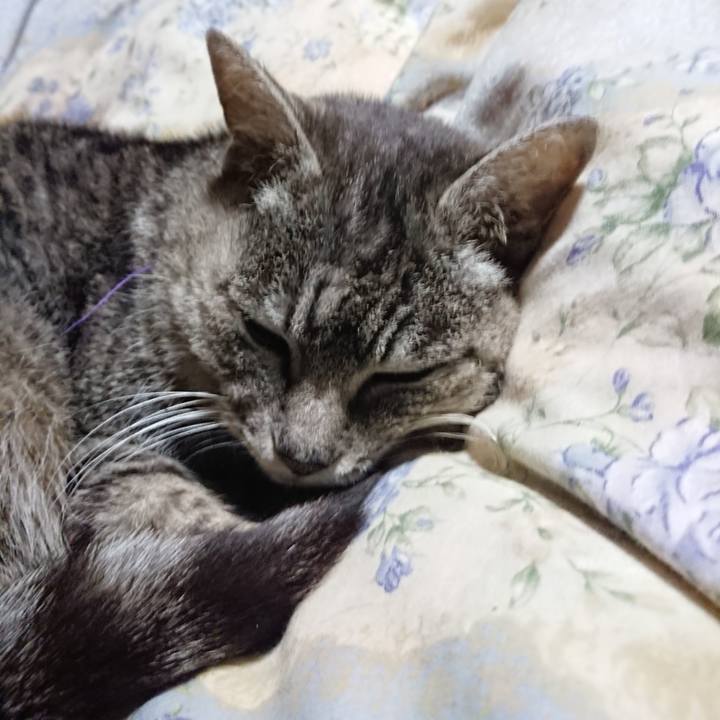 D9da7bcb 39b0 437c adea 382de97ce273 1583325744566