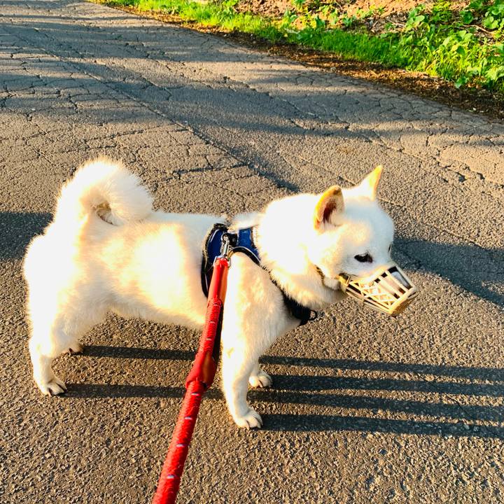 D9da7faa 6e5c 4880 b918 1b8f0347b444 1653510034164