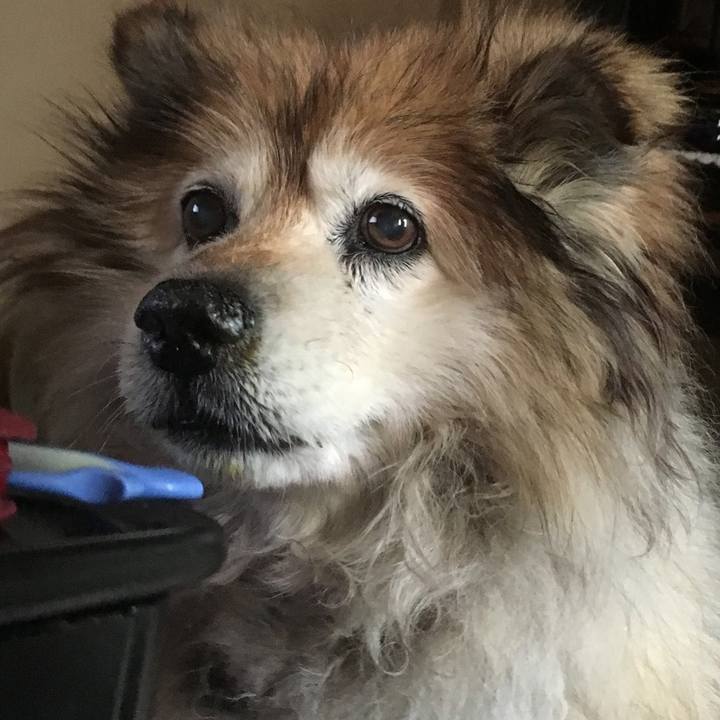 D9da9984 6089 4f86 8d37 c01e4a47bf30 1597748982046