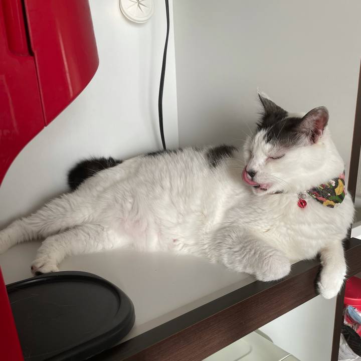 D9daa080 eea6 4d20 a99c 3df937776a88 1628513742190