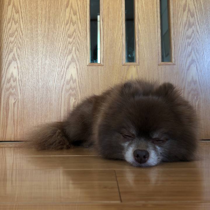 D9daaa25 a6f6 4dd0 9733 63d5ddbf9ada 1560639773289