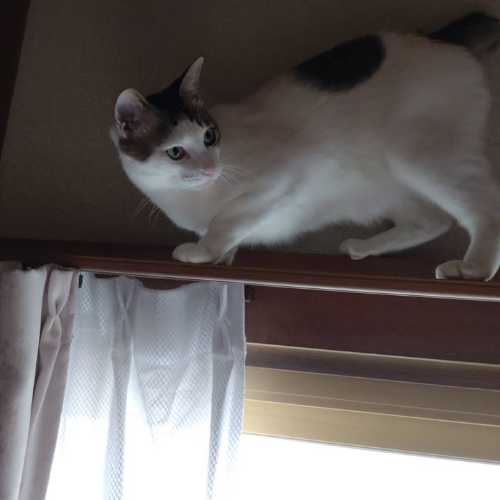 D9dab655 8275 4902 87ca f8ac09a04e0a 1679268465169