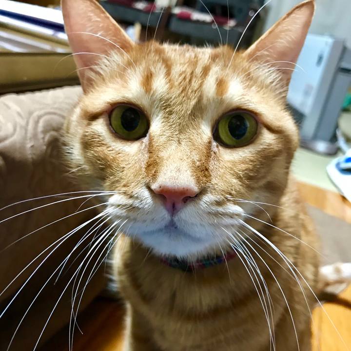 D9dab7d7 ead7 4186 a283 e989a135bac7 1550319832197