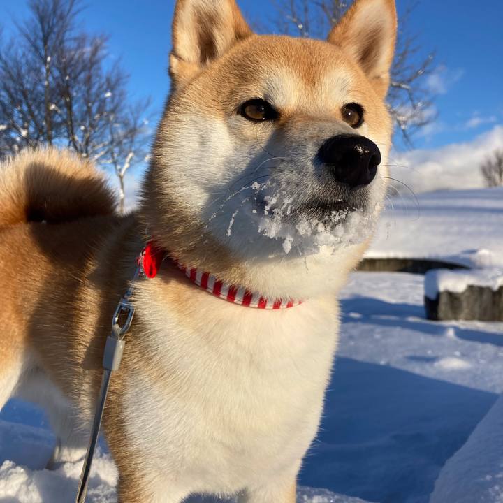 D9dac5dd 9375 4d85 a0f6 8d5749ec5939 1640510258123