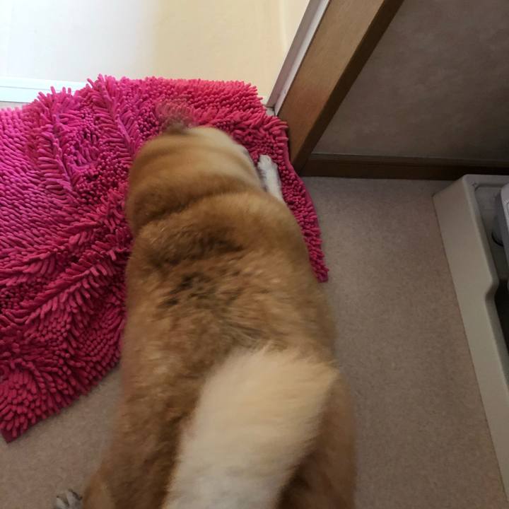 D9db4338 a98d 4e57 a842 5e3c0fd2856b 1568034640388