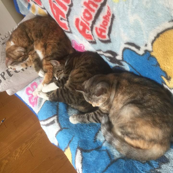 D9db5527 43e8 4060 a2ad 09313fd86e88 1572068451541