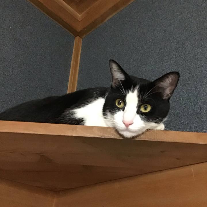 D9dbaa1f 1201 4b6b 92a6 e89915990a79 1692621705515