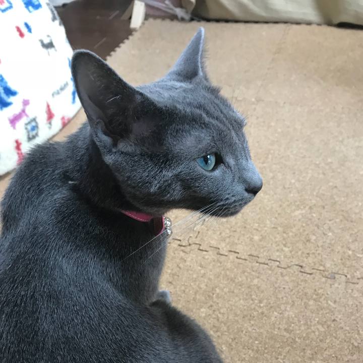 D9dbc569 ae6f 4219 925e 6e995005dcf8 1525583975471