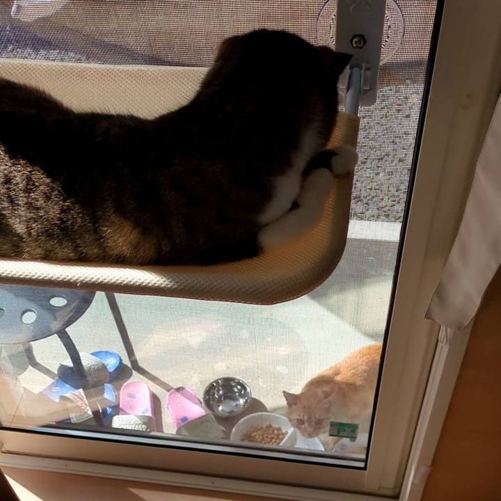 D9dbc86a 5c02 4263 a3e8 3bb570a813b4 1691627202413