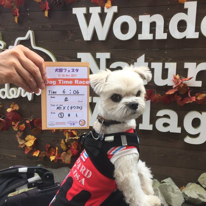 D9dbd175 61c9 4d91 bbb0 171ba282f6dd 1511071333634