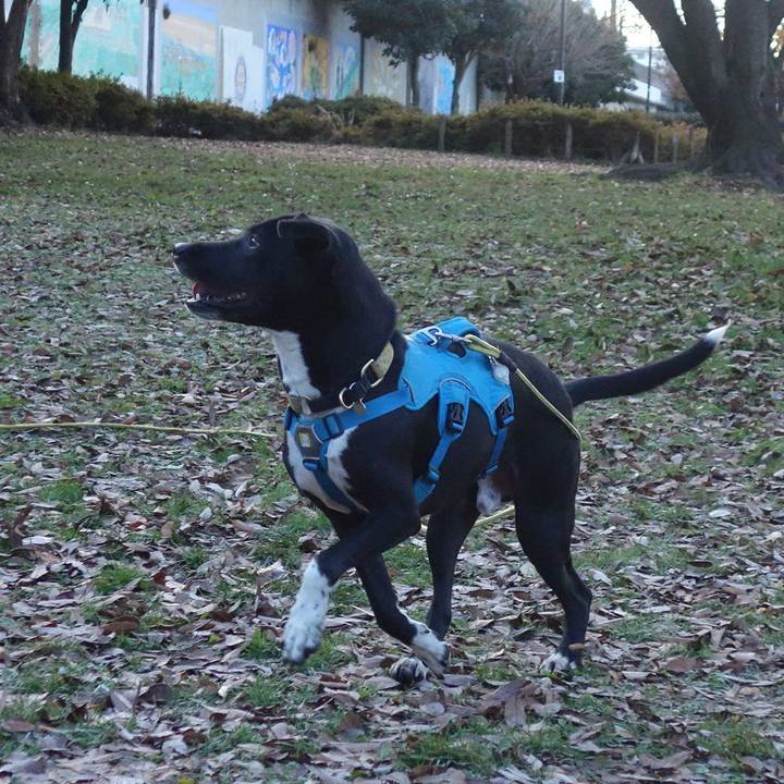 D9dbd7cc c0fa 4f2b 9c68 acf3a81d802a 1608337444680