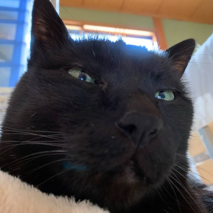 D9dbe7aa 7776 42b8 8d71 cbdd7c25ad75 1584754233088