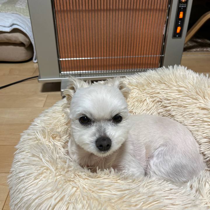 D9dbfcf4 6960 4e52 b44e 34a550e1f367 1651308213209