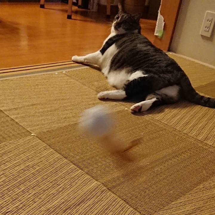 D9dc1b6a 65b7 4759 8da6 fa580b6221c4 1534143386591