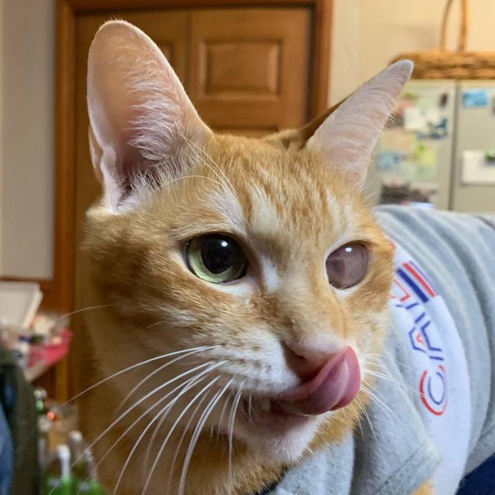 D9dc56ff d1a5 4b38 9f7d 66aa56ab1638 1606226658295