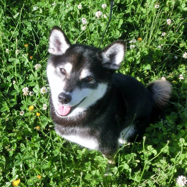 D9dc8cb1 bd06 4d8d 8744 b94404038b77 1527239577625