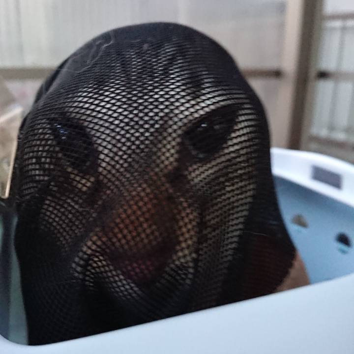 D9dc9b6a 2ab4 4302 85ac 44478183502f 1537347676620