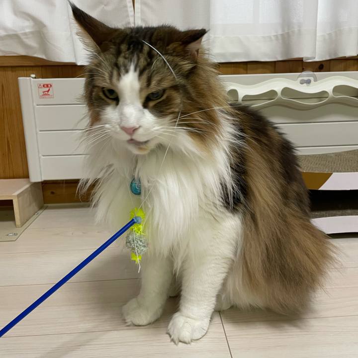 D9dcde3c 7235 4360 8d42 527874201344 1714591850601