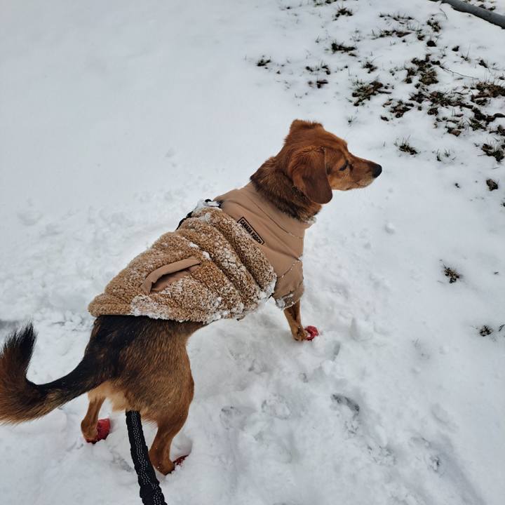 D9dd0675 e472 4368 8149 55219e433c48 1773955183082