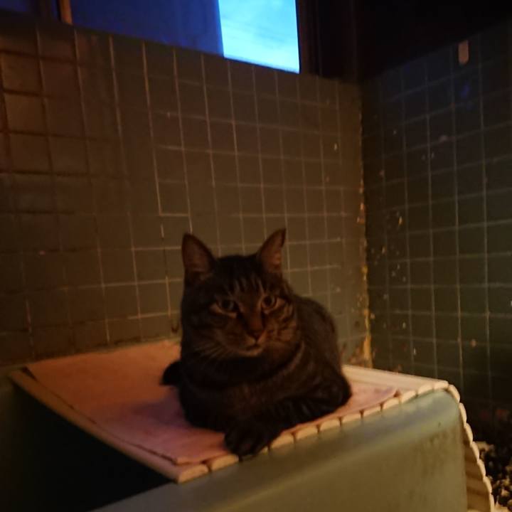 D9dd4191 9f3d 4609 a158 967621ebc391 1662628804223