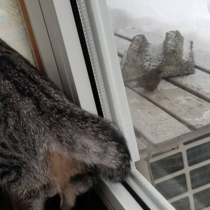 D9dd49c5 3b9f 4b43 b001 ac6b442c839b 1675949057452