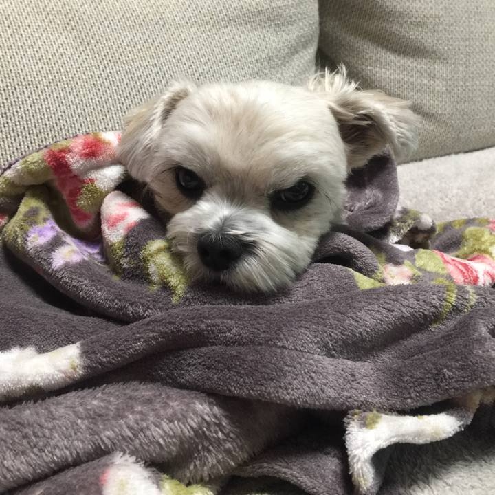 D9dd587f 5362 47a3 9c60 60f758f8114e 1508501561613