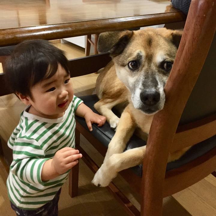 D9dd7cd1 6ab2 4638 a288 edafd1c6aa55 1553157179901