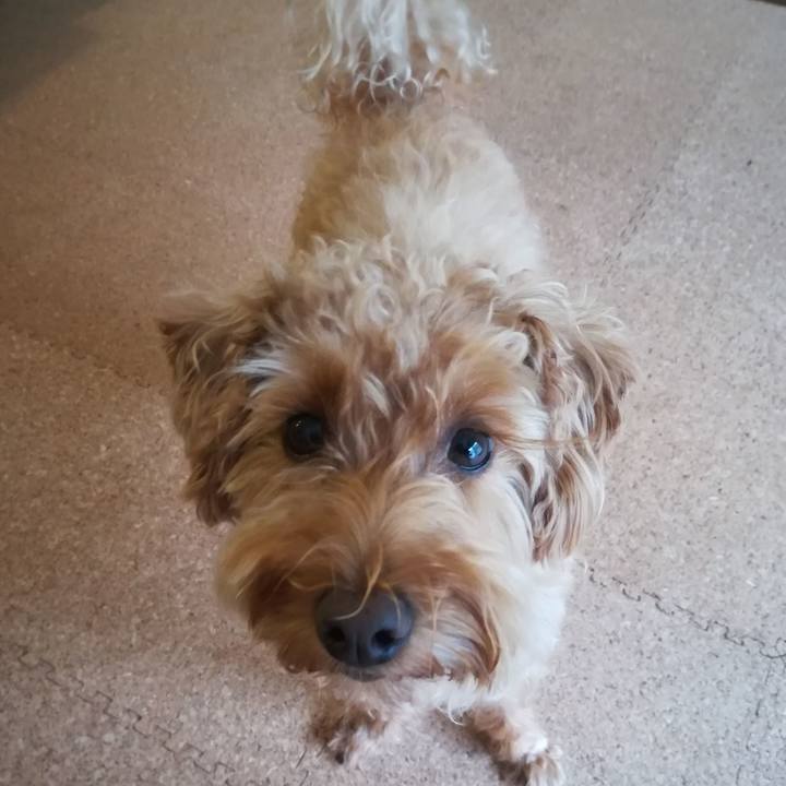 D9dda536 86b8 4ef0 a341 eb00a3bac451 1536534601777