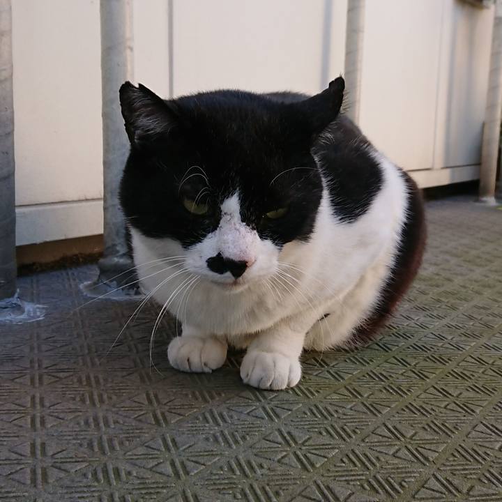 D9ddb2f8 45de 4cd8 abc3 1e02ae1a3eb2 1542429572454