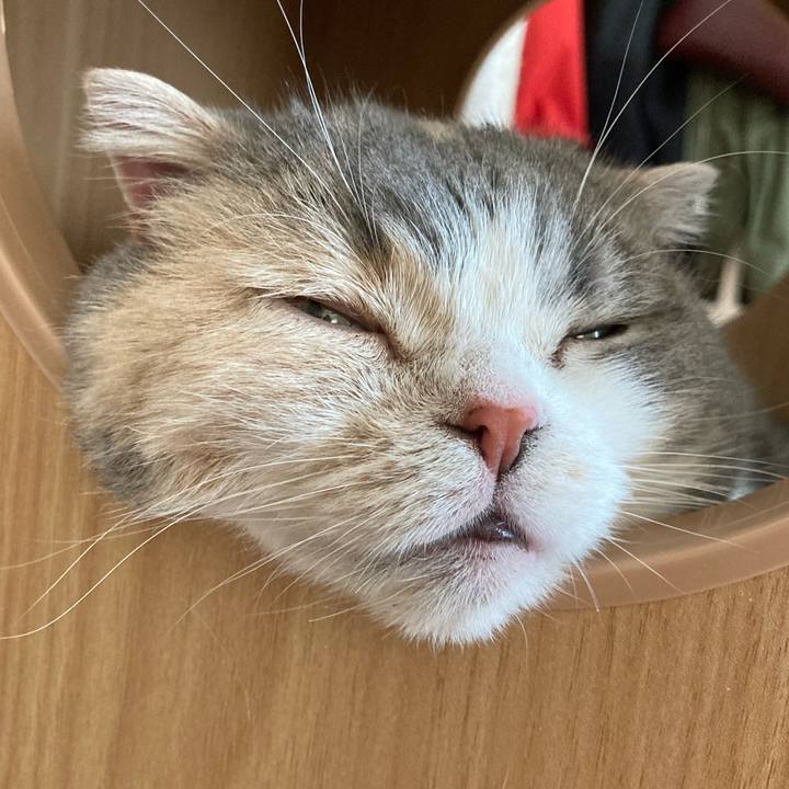 D9ddbe80 b1b4 4ddb a2d3 3fdc3a9e0385 1654516235782